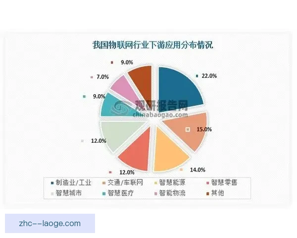 诺伊豪斯发展未达预期背后的原因与未来挑战分析
